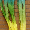 Murray Alexander, Textiles