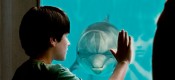 Dolphin Tale (U)