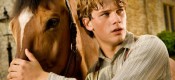 War Horse (12A)