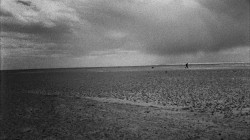 Patience--After Sebald