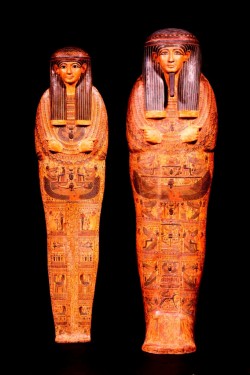 Fascinating Mummies