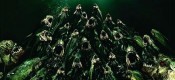 Piranha 3DD (18)