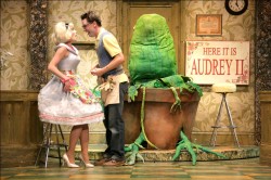 Little Shop of Horrors