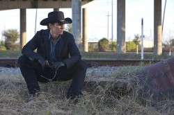 Killer Joe (18)