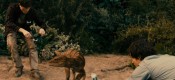 Dinosaur Project, The (12A)
