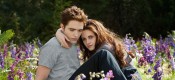 Twilight Saga: Breaking Dawn--Part 2, The (12A)