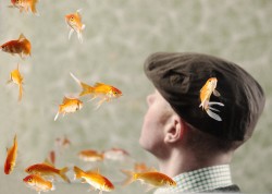 Day I Swapped My Dad for Two Goldfish, The