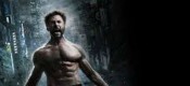 Wolverine, The