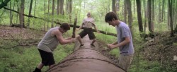 Kings of Summer, The (15)