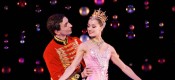 Nutcracker, The
