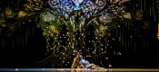 Cinderella--Scottish Ballet