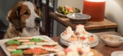 Christmas With The Coopers (12A)
