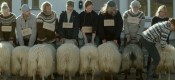 Rams