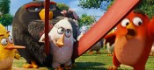 Angry Birds Movie, The (U)