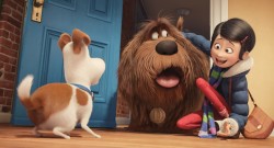 Secret Life of Pets, The (U)