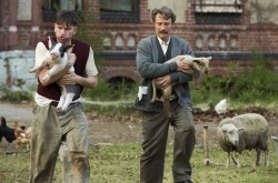 Men and Chicken (15)