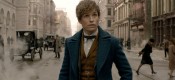 Fantastic Beasts and Where to Find Them