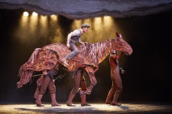 War Horse