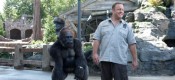 Zookeeper (PG)