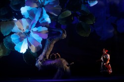 The Woman without a Shadow (Die Frau ohne Schatten)
