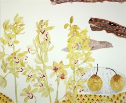 Elizabeth Blackadder